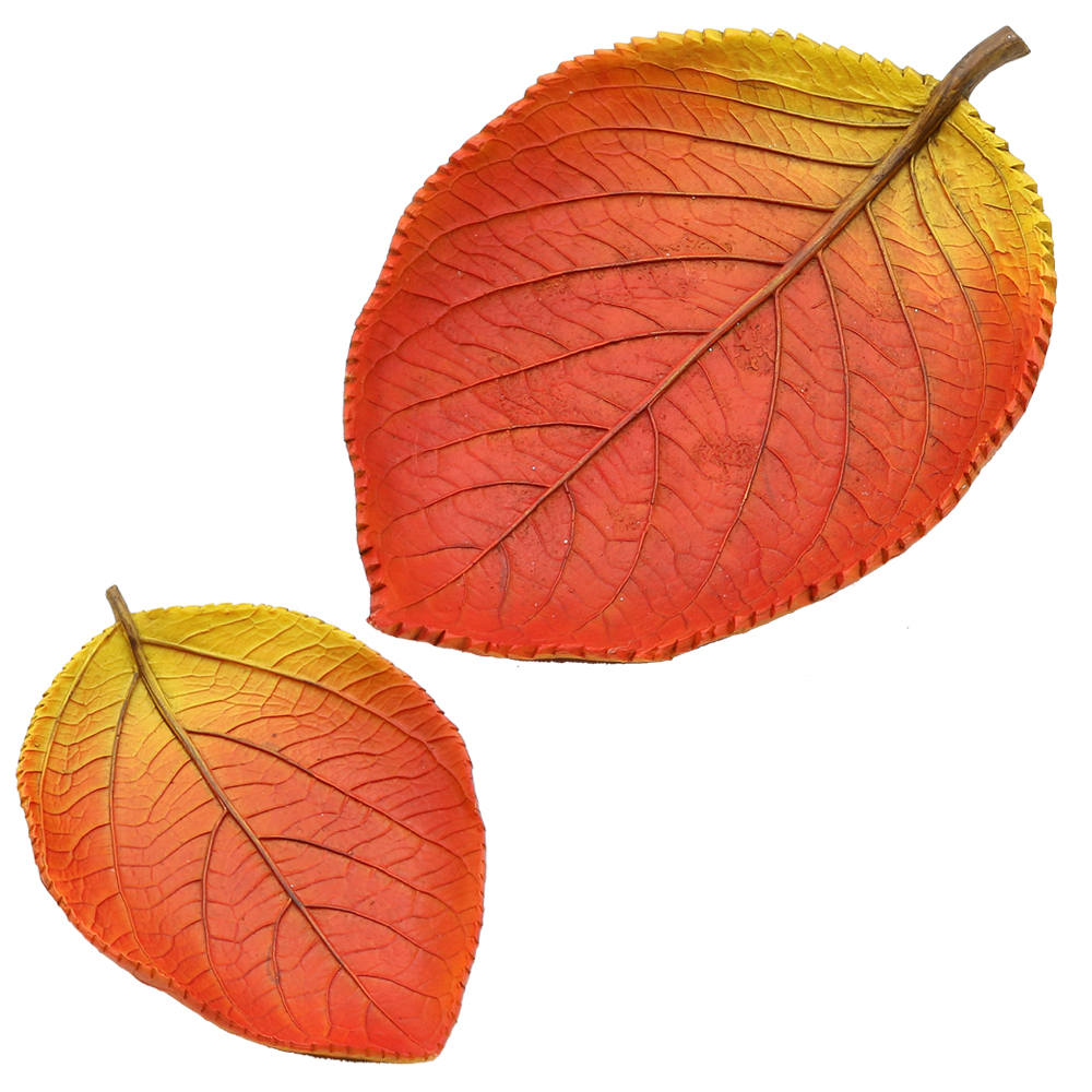 88BF0A29-7B40-4EBB-B6E3-4F0F8B3B8C8A.jpg