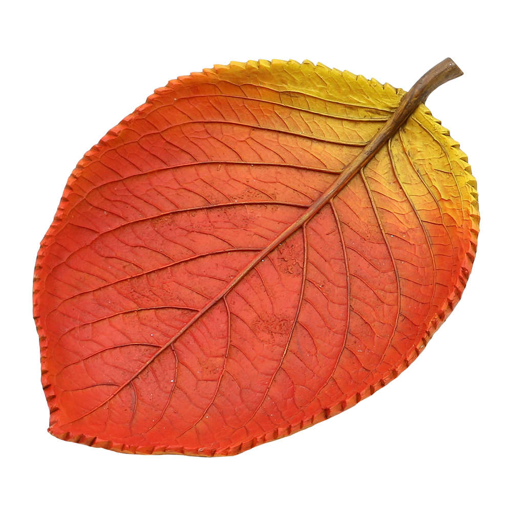 9A4BFD50-69DA-4E9D-918F-5B4528C1583F.jpg